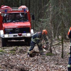 Feuerwehr bei Arbeiten im Wald