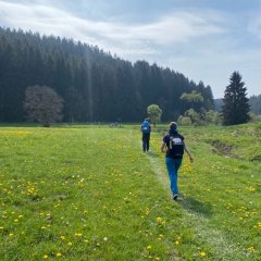 Teilnehmer des Wandermarathons bei Wanderung