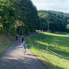 Radfahrerinnen und Radfahrer auf dem Radweg