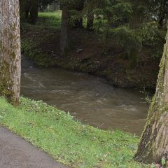 Bierbach im Eifel-Zoo