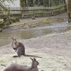 Übergabe Förderbescheid Bierbach am 05.04.2024