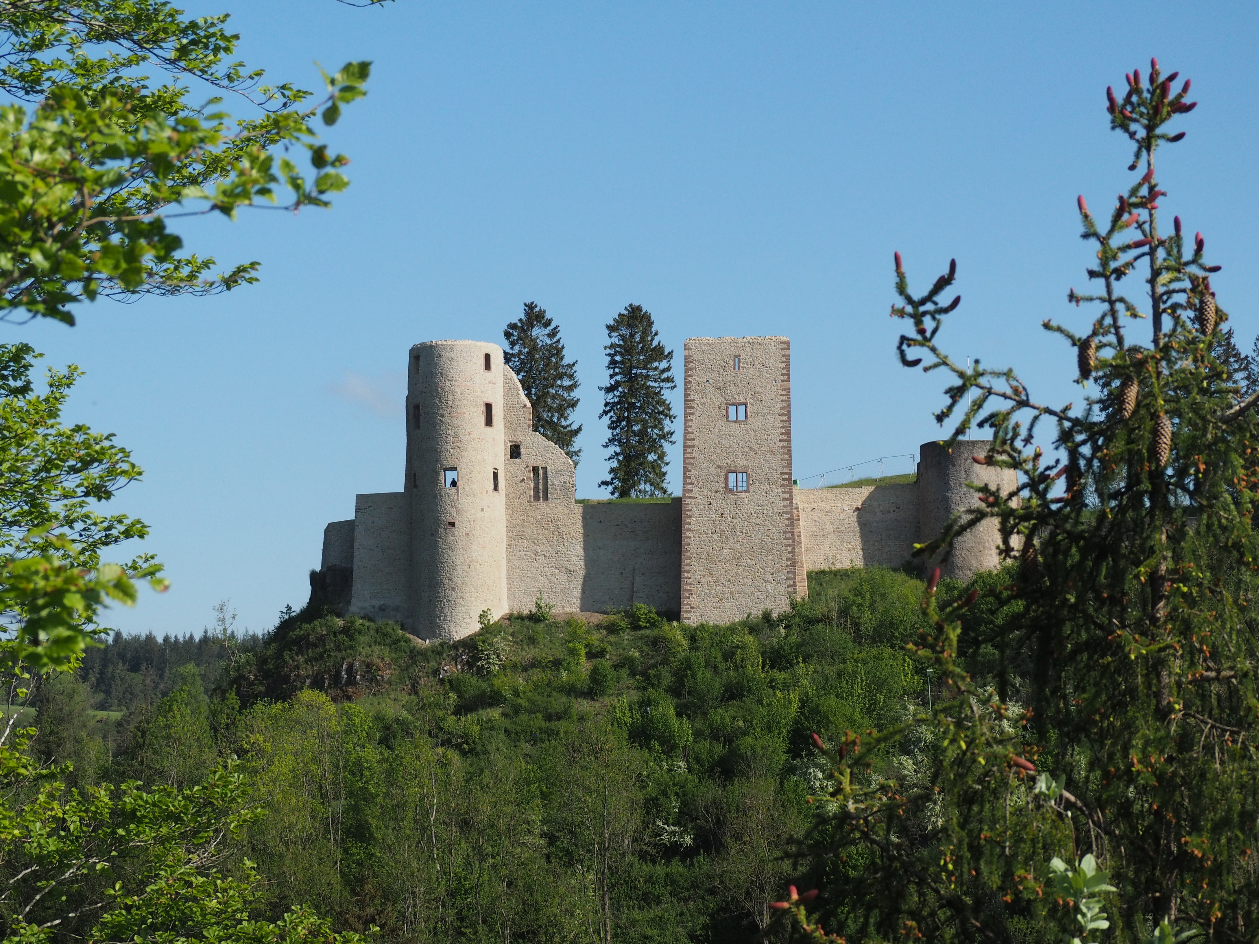 Burg Schönecken