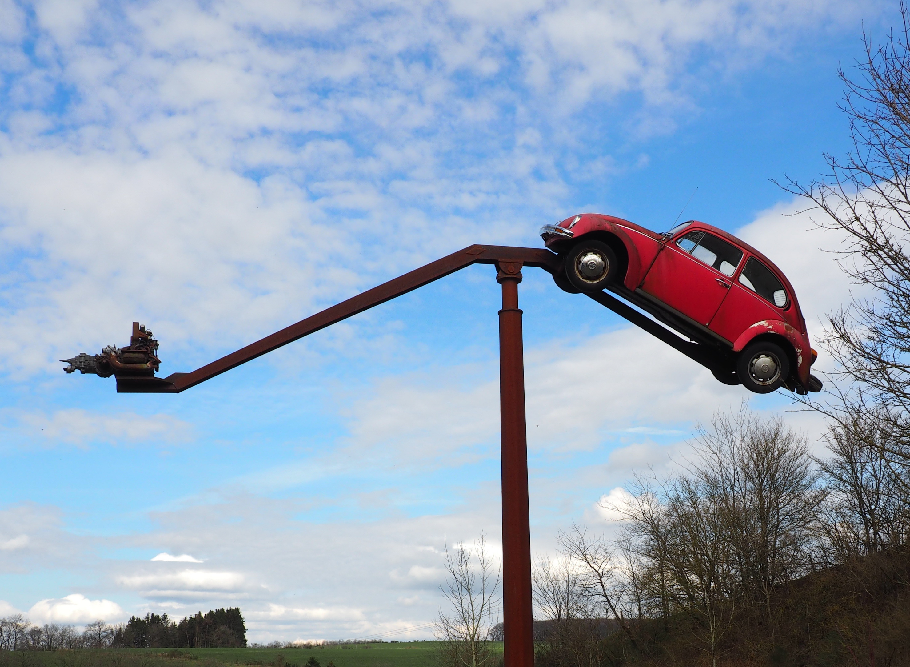 fliegender Käfer in Buchet