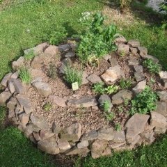 Das Bild zeigt ein rundes Hochbeet, das aus groben Steinen oder Felsen angelegt ist. In der Mitte des Beets wachsen verschiedene Pflanzen, möglicherweise Kräuter oder Blumen. Die Gestaltung ist spiralförmig, was eine interessante und ästhetische optische Wirkung erzeugt. Um das Beet herum ist grünes Gras zu sehen, was die natürliche Umgebung betont.