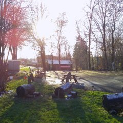 Der Außenbereich ist geräumig und einladend, ideal für Aktivitäten im Freien. Es gibt Bäume, die Schatten spenden, sowie Rasenflächen und einige Überreste von Schnee. Holzskulpturen in Form von Pferden bieten kreative Möglichkeiten zum Spielen. Es sind Holzbänke und Tischgruppen vorhanden, die Platz zum Ausruhen oder für Gruppenaktivitäten bieten.  Der Bereich fördert die Naturverbundenheit und den aktiven Spielspaß.
