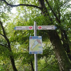 Schild Rundweg Komfortwanderweg Stausee Auw/Roth