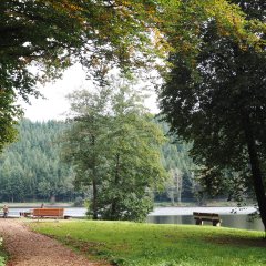 Barrierefreier Weg am Stausee